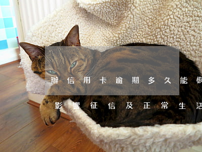辦信用卡逾期多久能恢復(fù)？影響征信及正常生活
